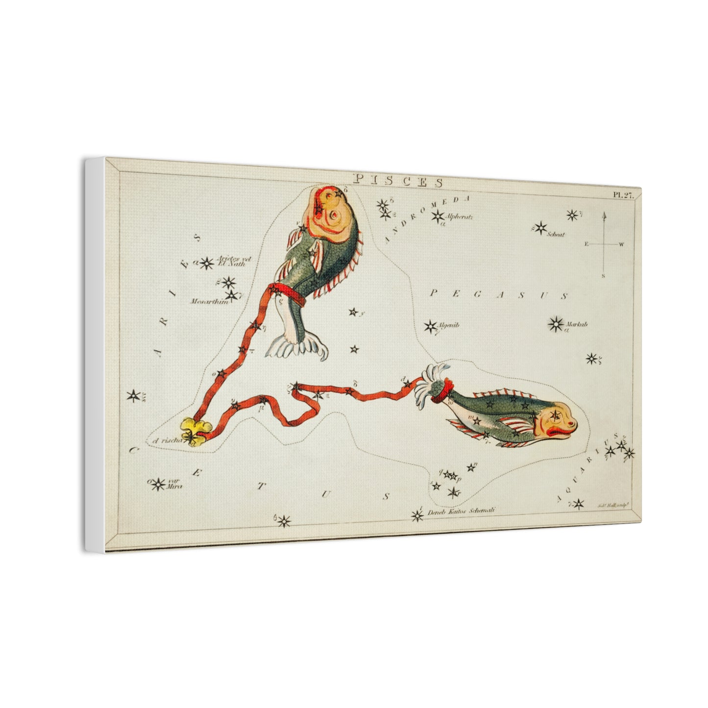 Astrology Canvas Print - Vintage Pisces Constellation Art