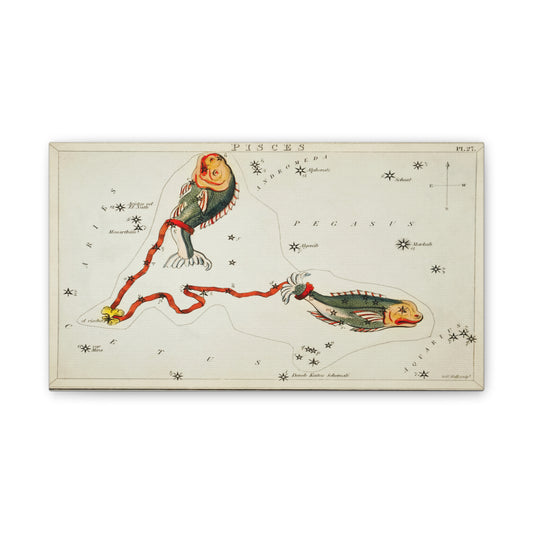 Astrology Canvas Print - Vintage Pisces Constellation Art