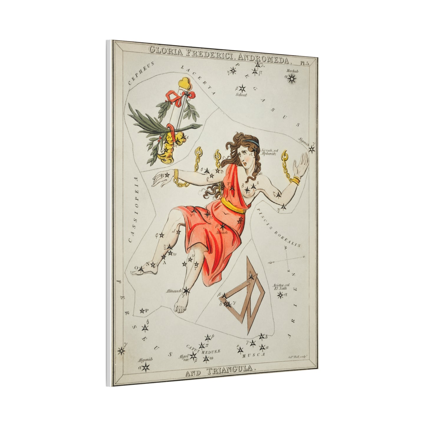 Astrological Canvas Art Print - Andromeda Constellation Wall Decor