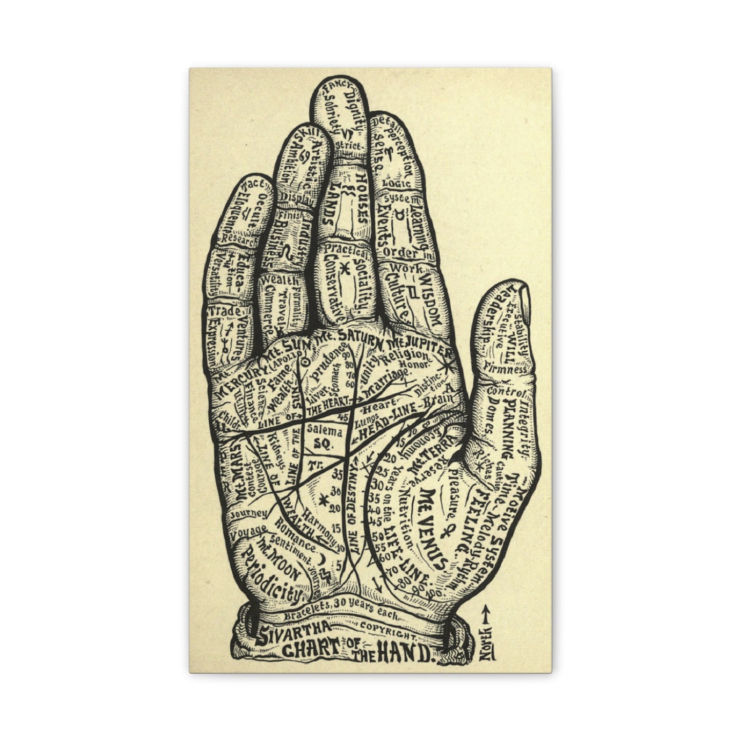Mystical Hand Chart Canvas Art - Spiritual Home Decor