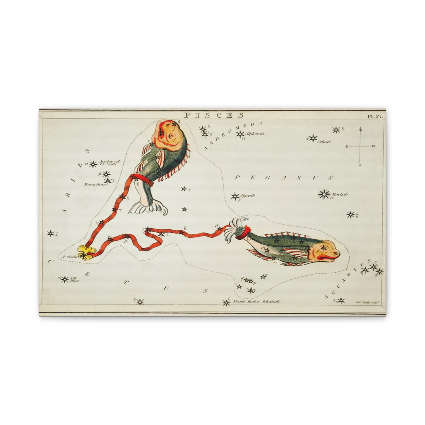 Astrology Canvas Print - Vintage Pisces Constellation Art