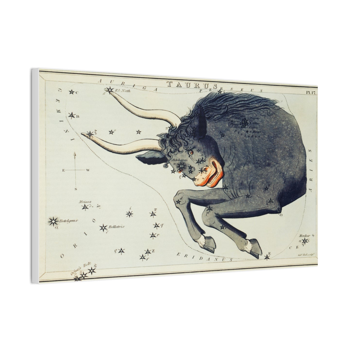Taurus Zodiac Canvas Print - Astrological Wall Art for Astrology Lovers