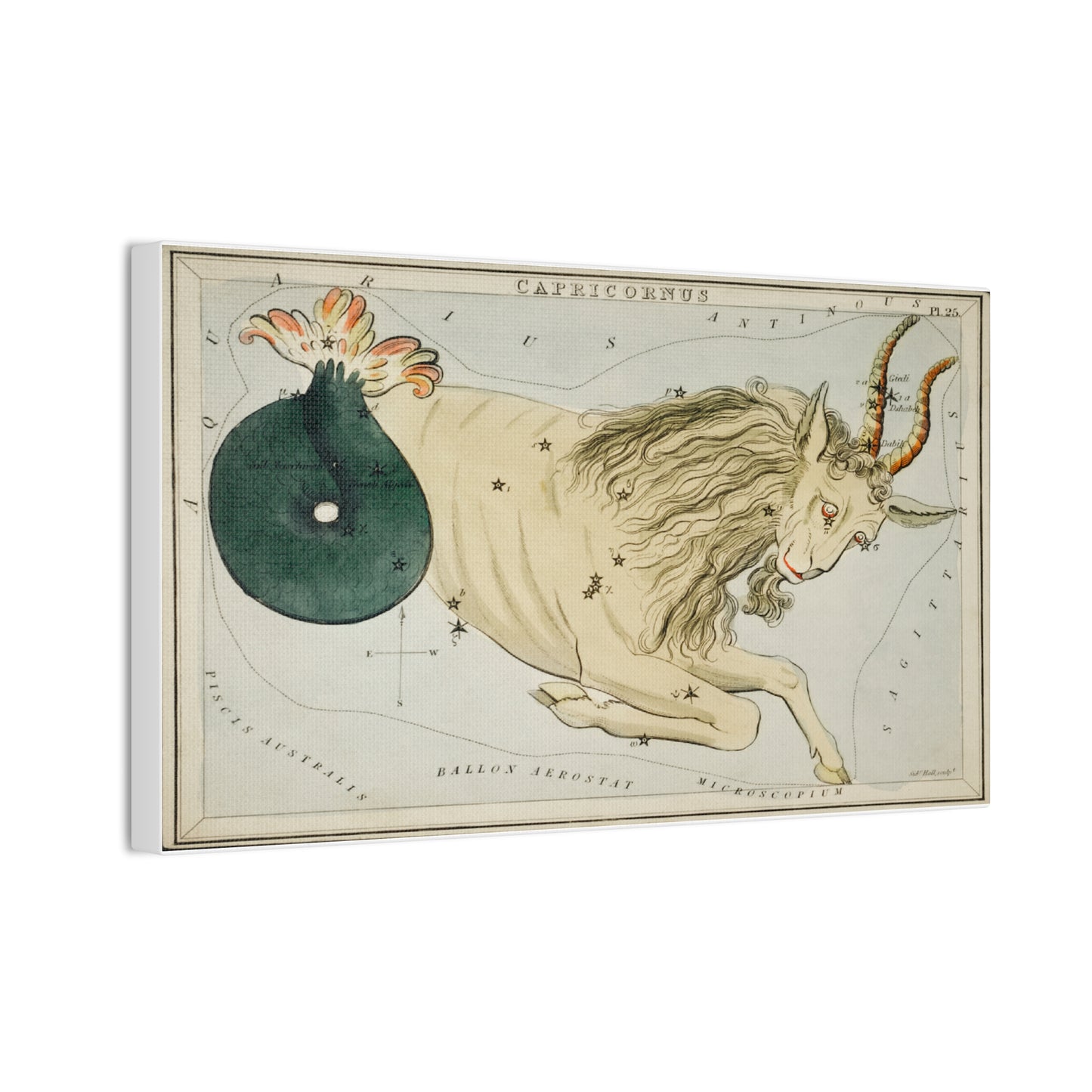 Capricorn Constellation Canvas Print - Zodiac Wall Art for Astrology Lovers