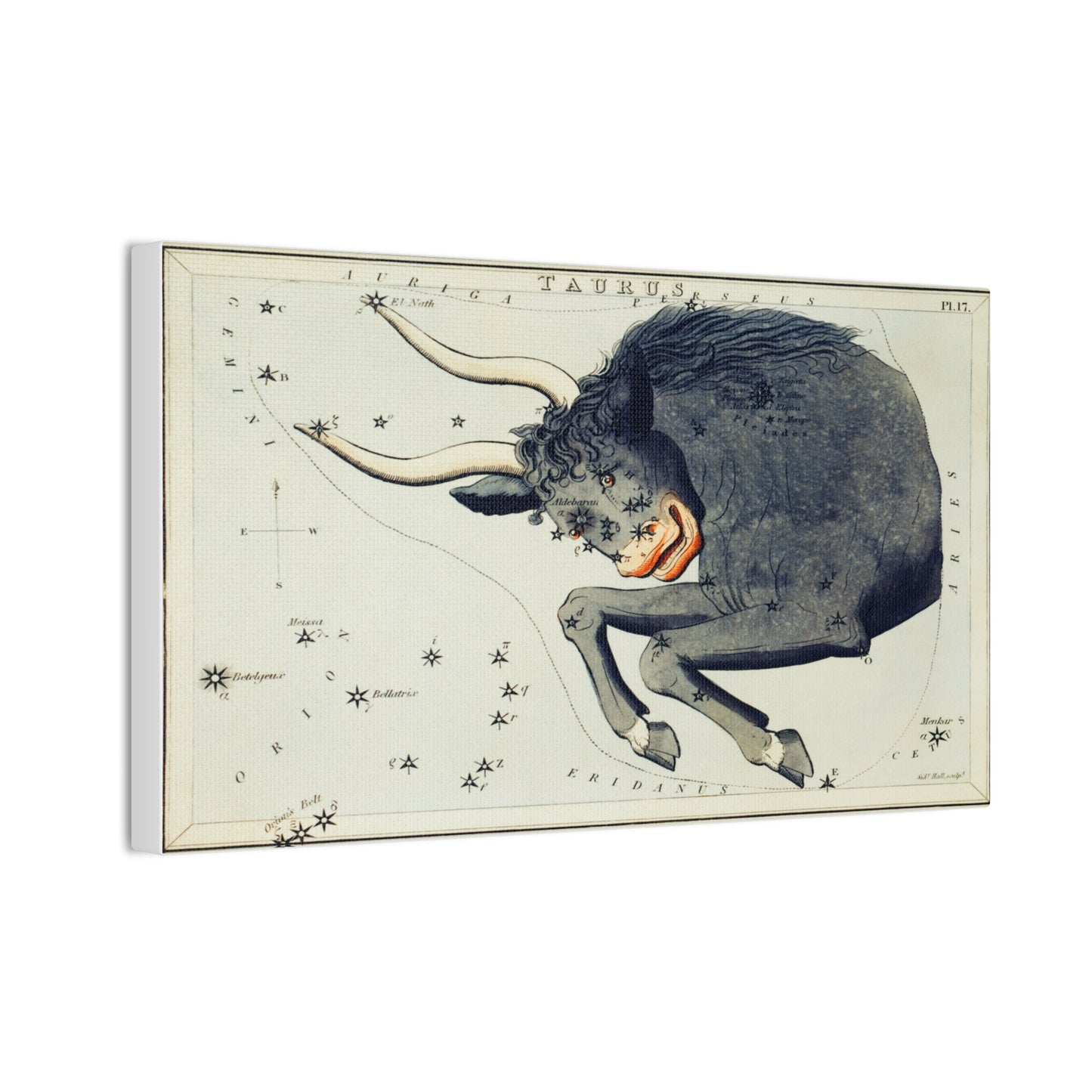 Taurus Zodiac Canvas Print - Astrological Wall Art for Astrology Lovers