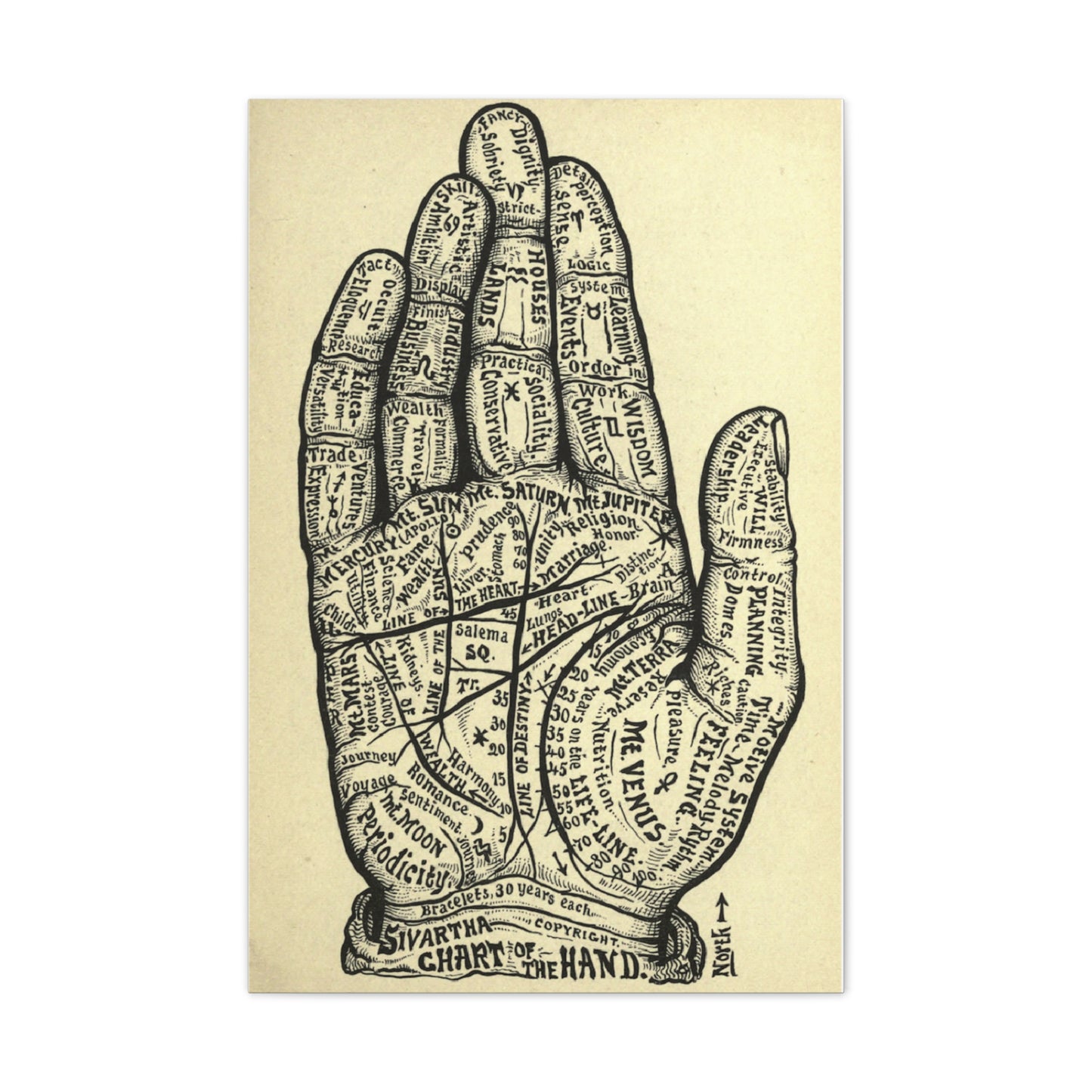 Mystical Hand Chart Canvas Art - Spiritual Home Decor