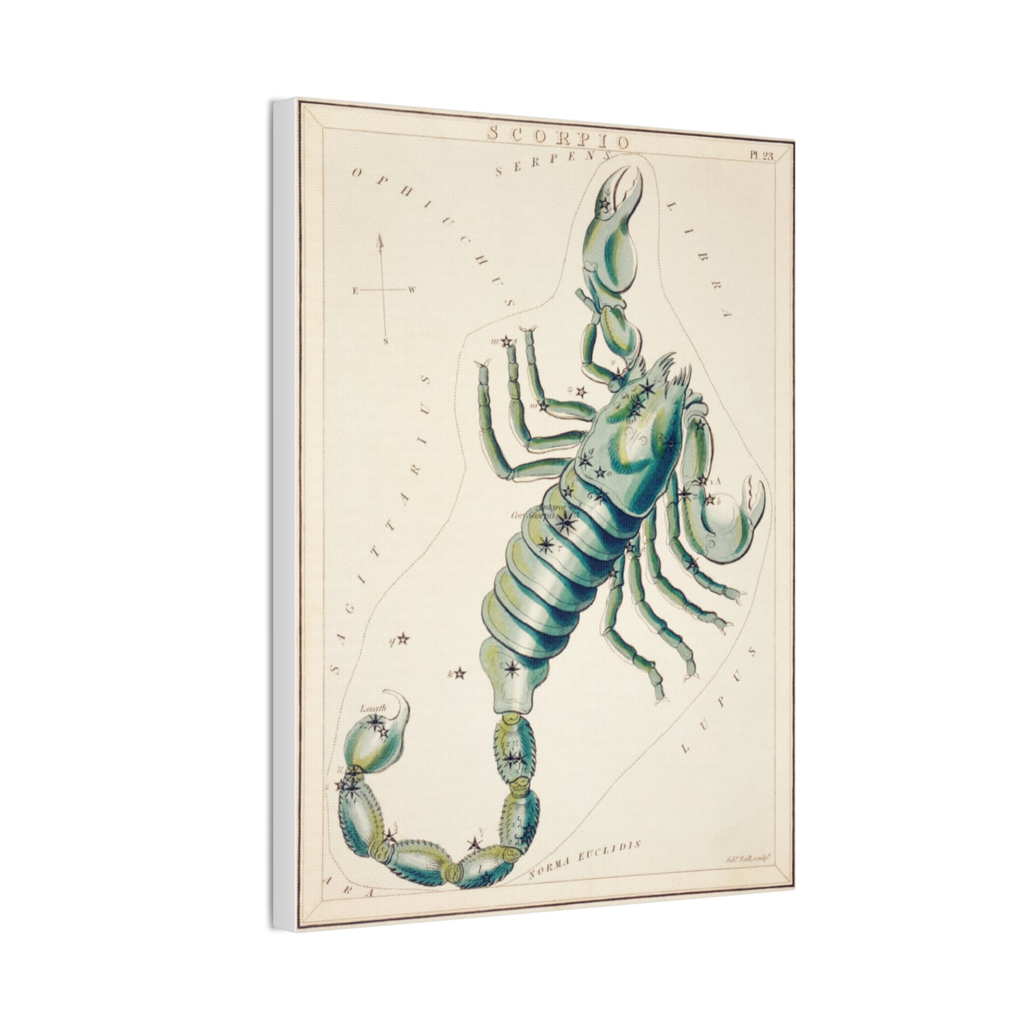 Scorpio canvas art