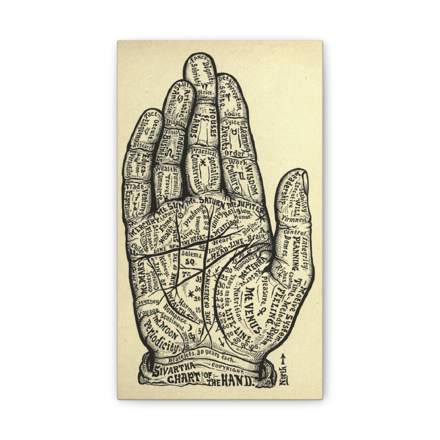 Mystical Hand Chart Canvas Art - Spiritual Home Decor