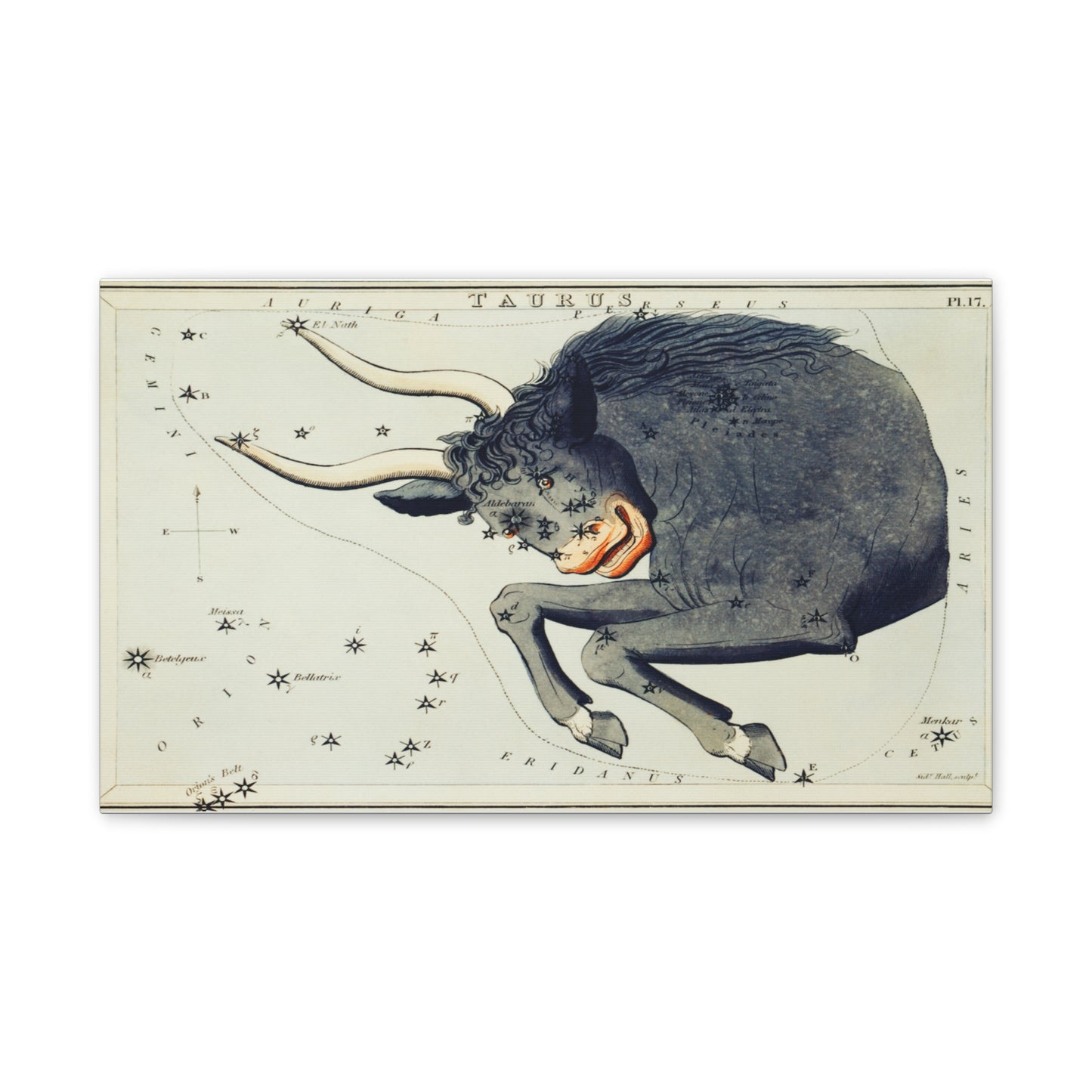 Taurus Zodiac Canvas Print - Astrological Wall Art for Astrology Lovers
