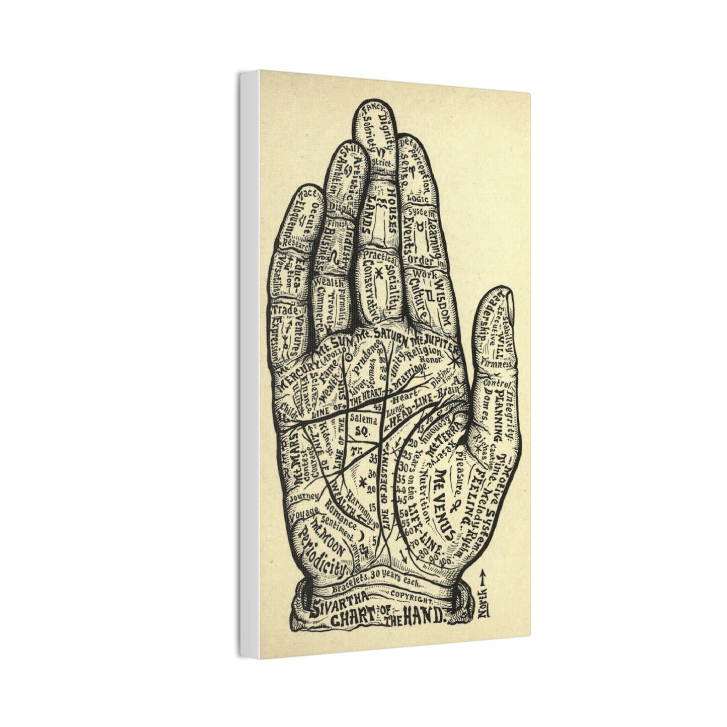 Mystical Hand Chart Canvas Art - Spiritual Home Decor