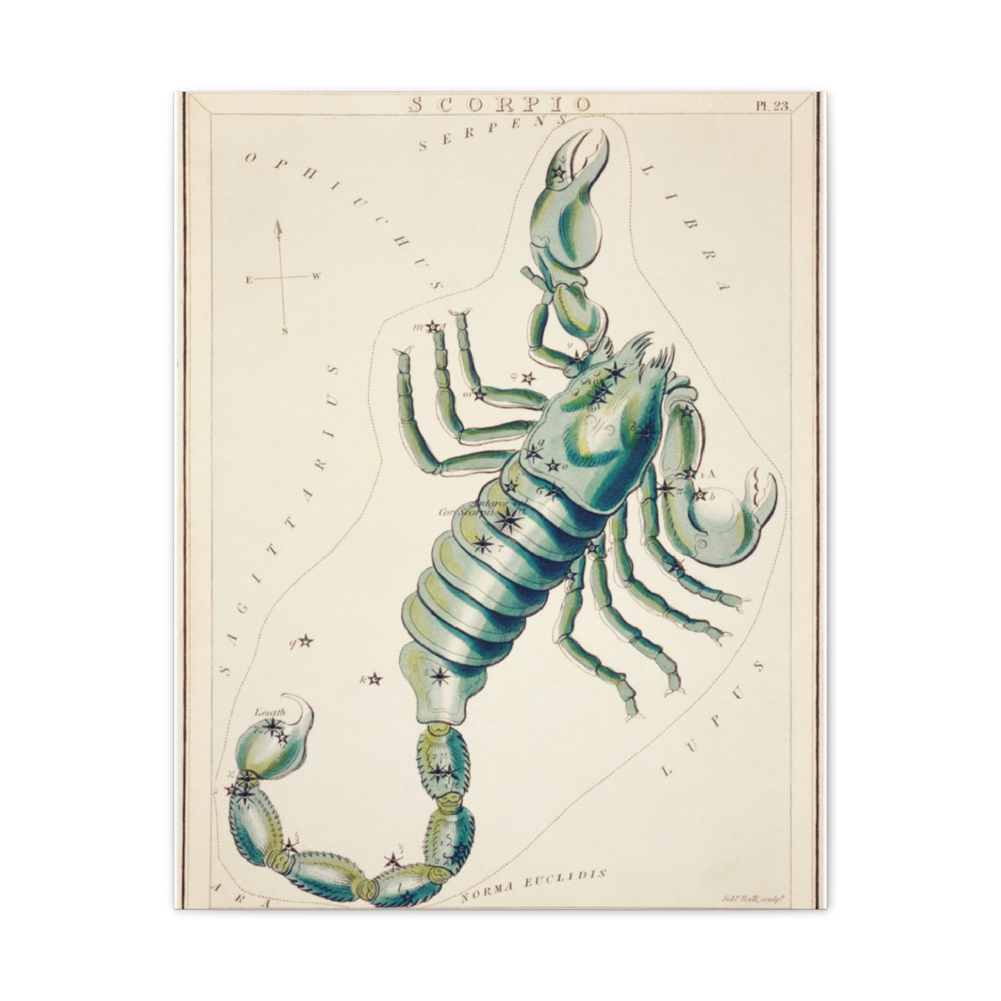 Scorpio canvas art