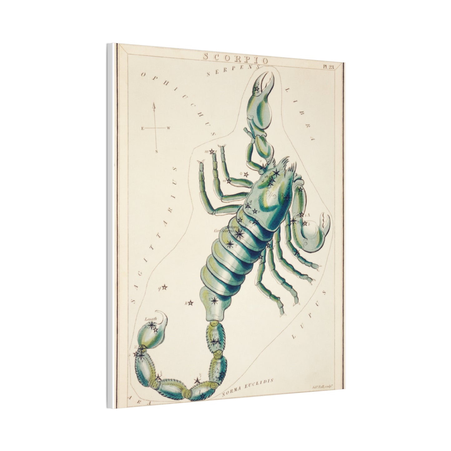Scorpio canvas art