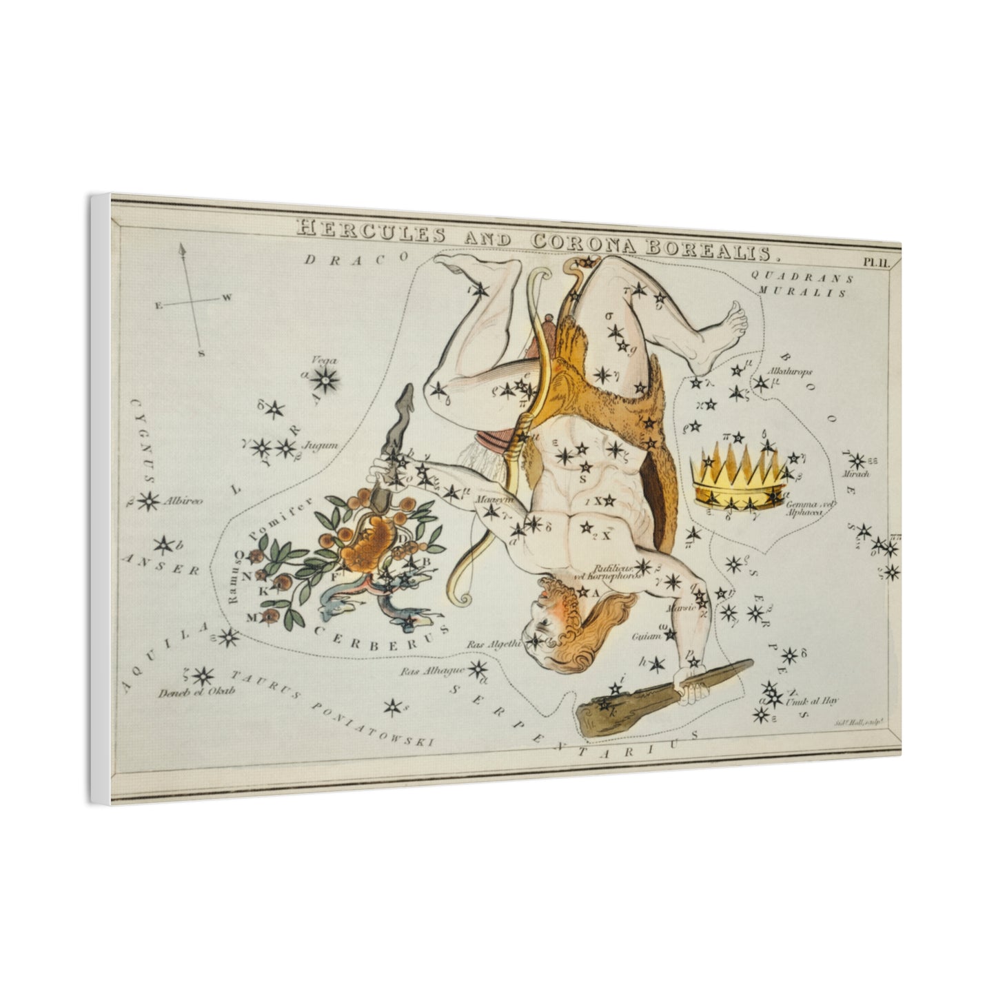 Vintage Hercules Constellation Canvas Print - Star Map Wall Art