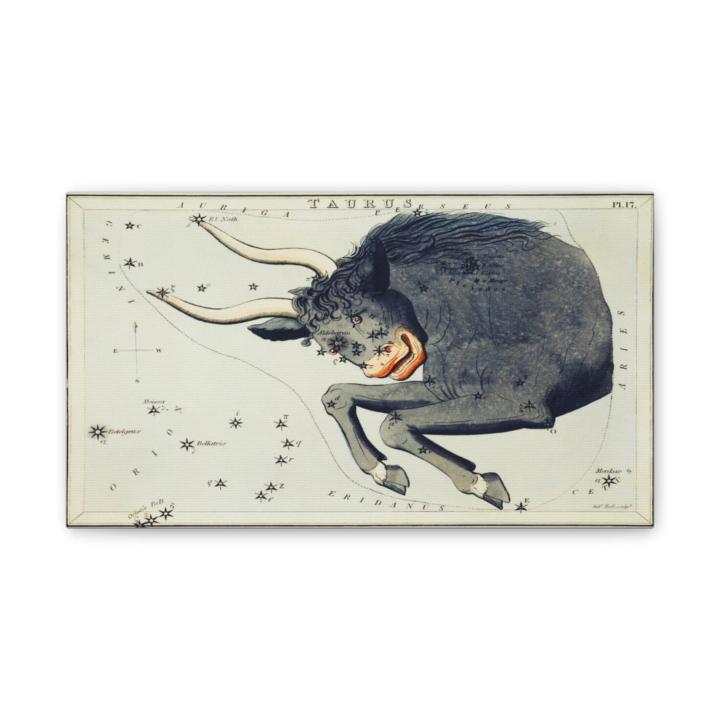 Taurus Zodiac Canvas Print - Astrological Wall Art for Astrology Lovers
