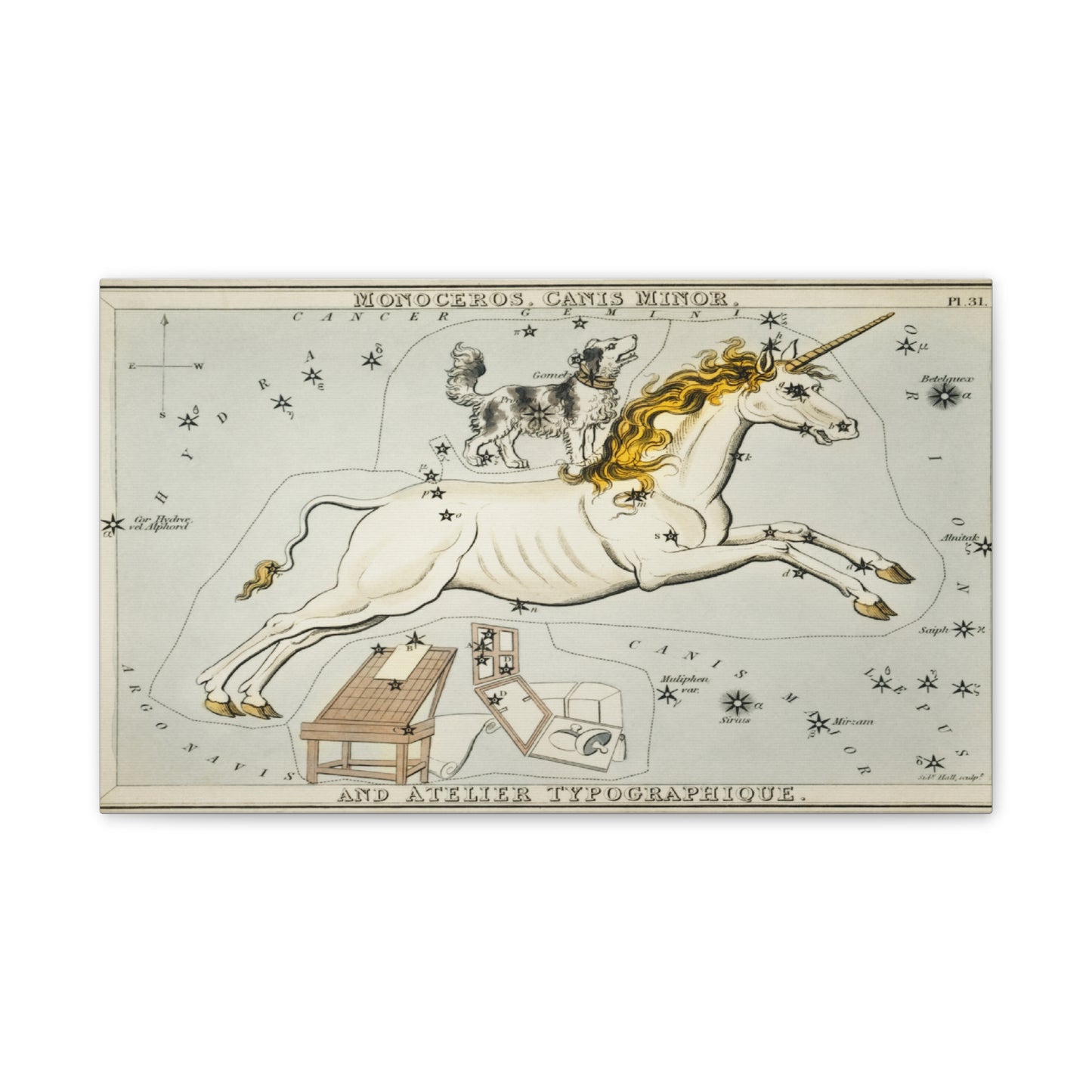 Canis minor Constellation Wall Art - Stretched Canvas Print
