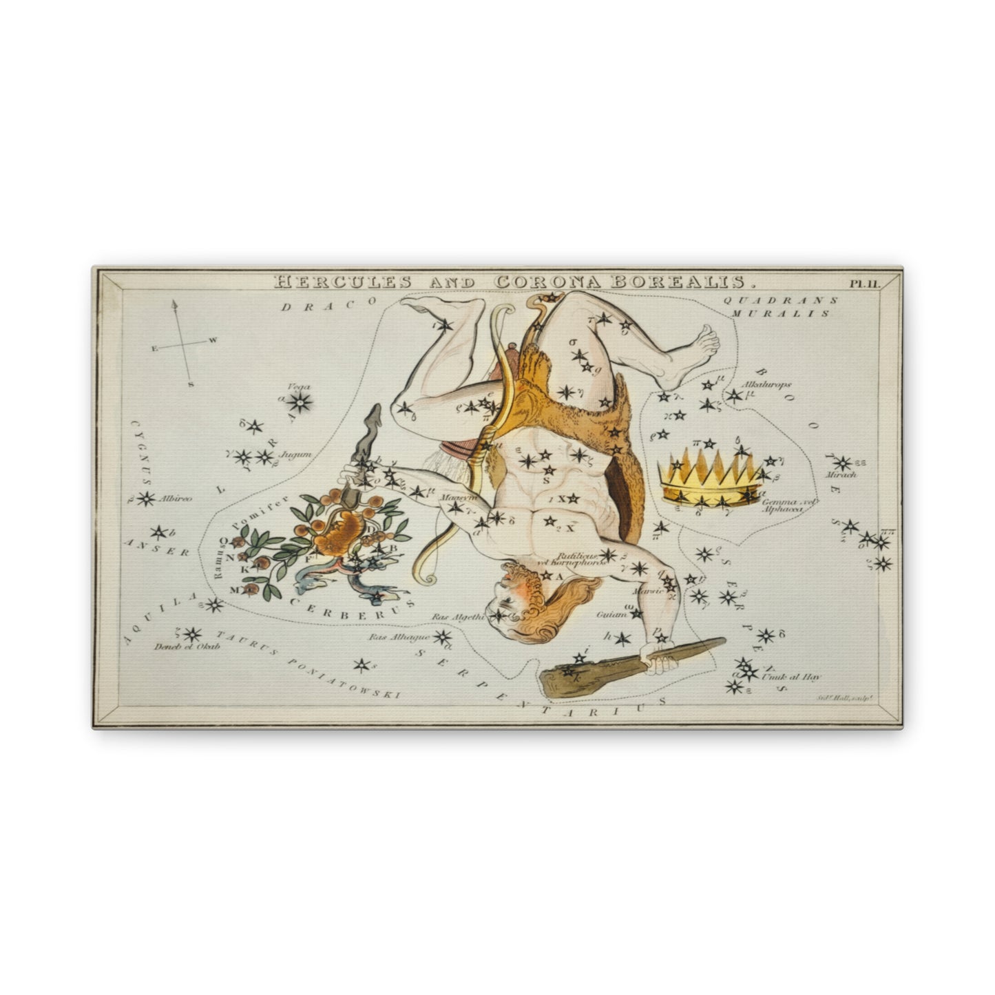 Vintage Hercules Constellation Canvas Print - Star Map Wall Art