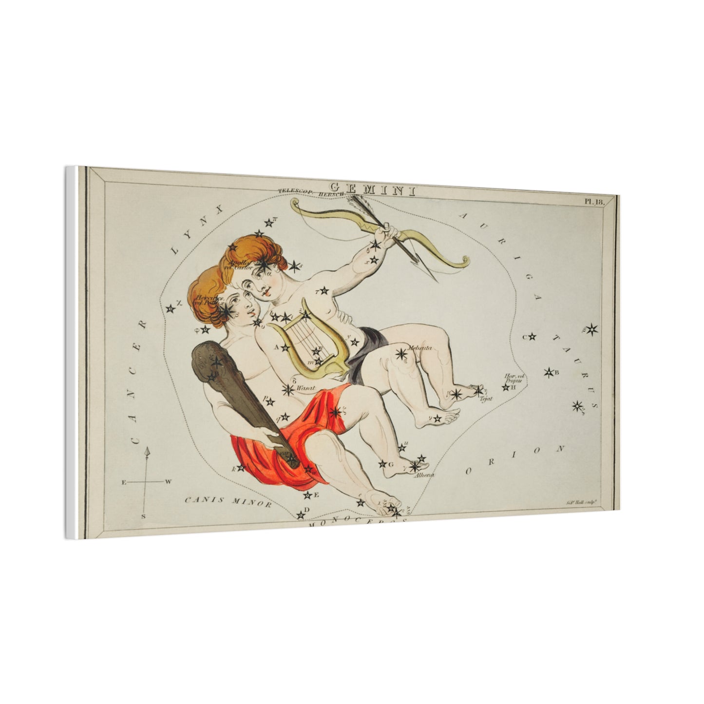 Gemini Constellation Canvas Wall Art