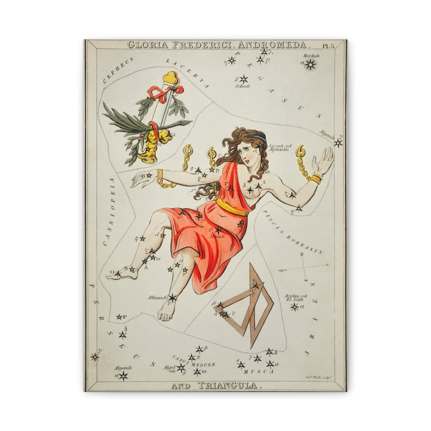 Astrological Canvas Art Print - Andromeda Constellation Wall Decor
