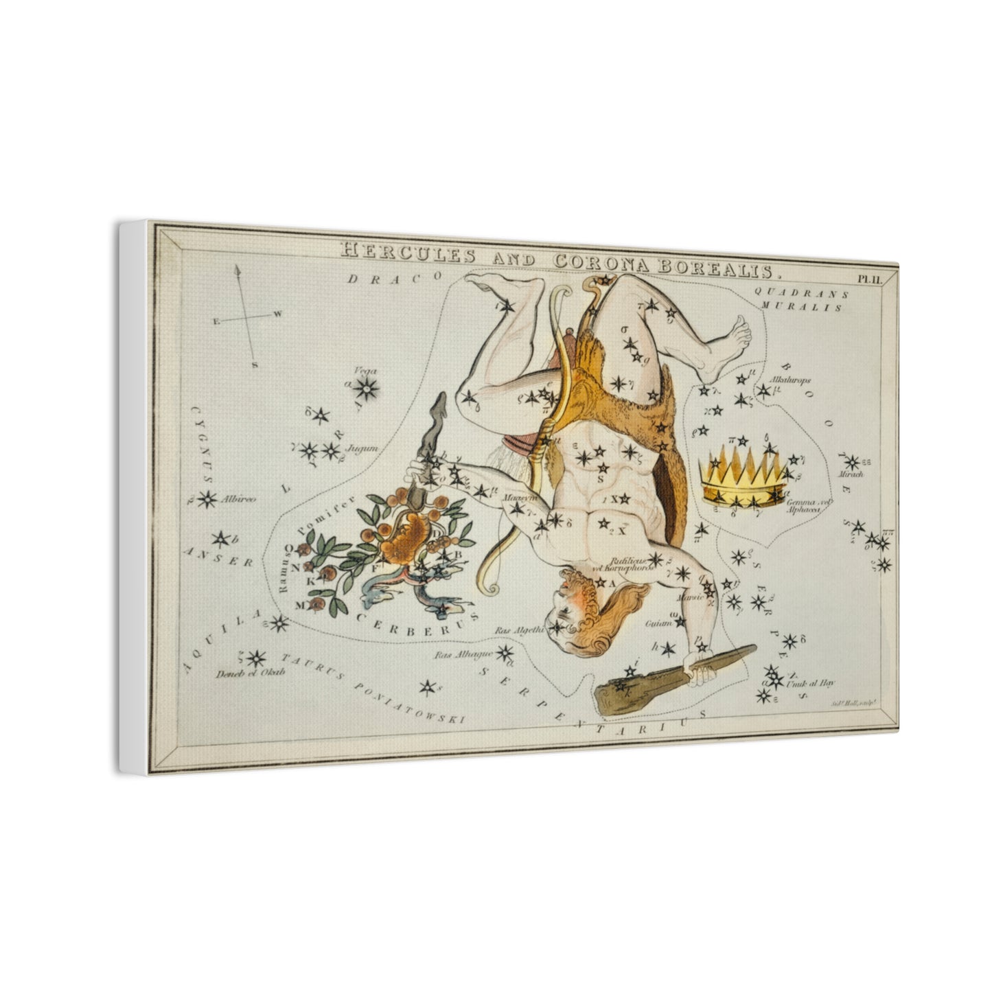 Vintage Hercules Constellation Canvas Print - Star Map Wall Art