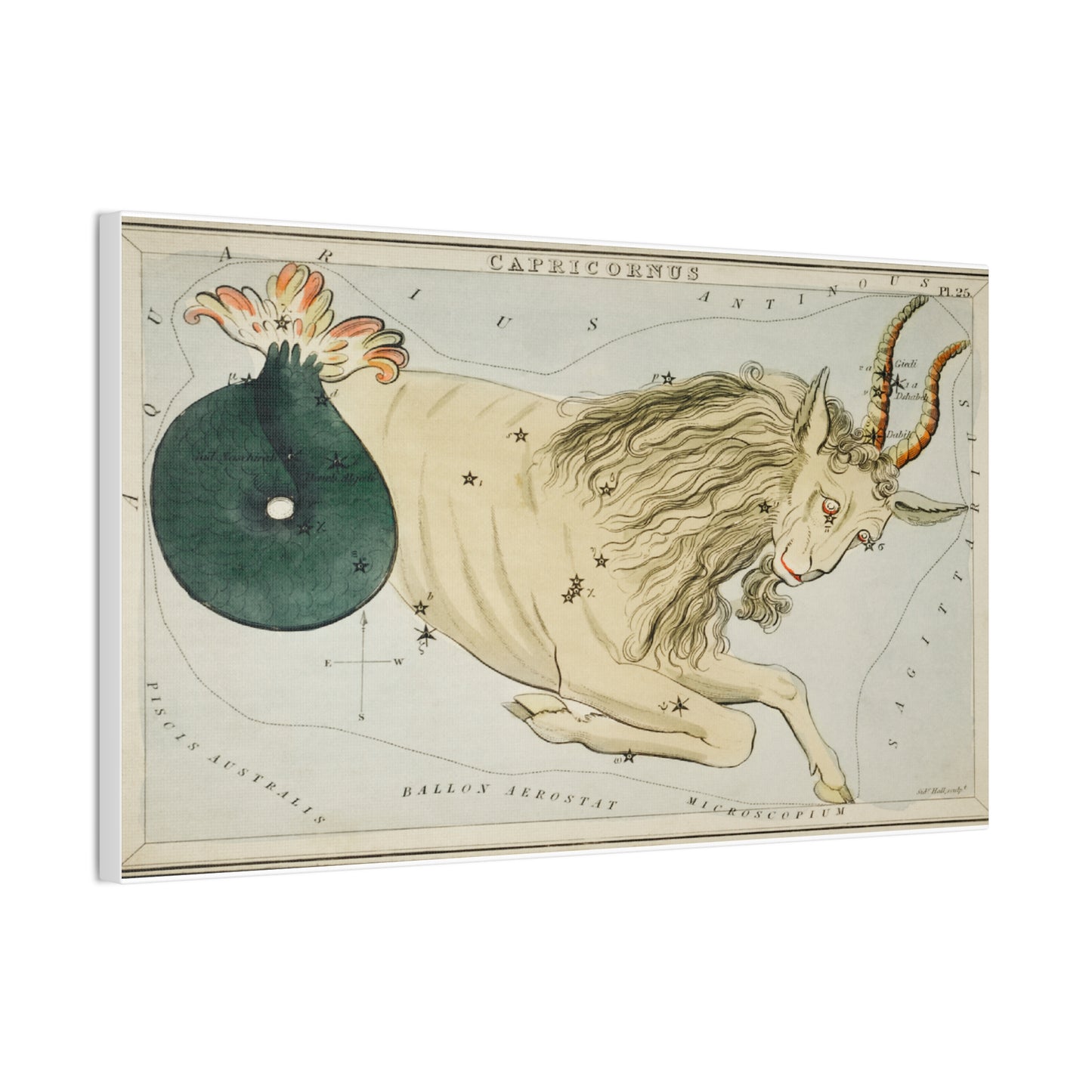 Capricorn Constellation Canvas Print - Zodiac Wall Art for Astrology Lovers