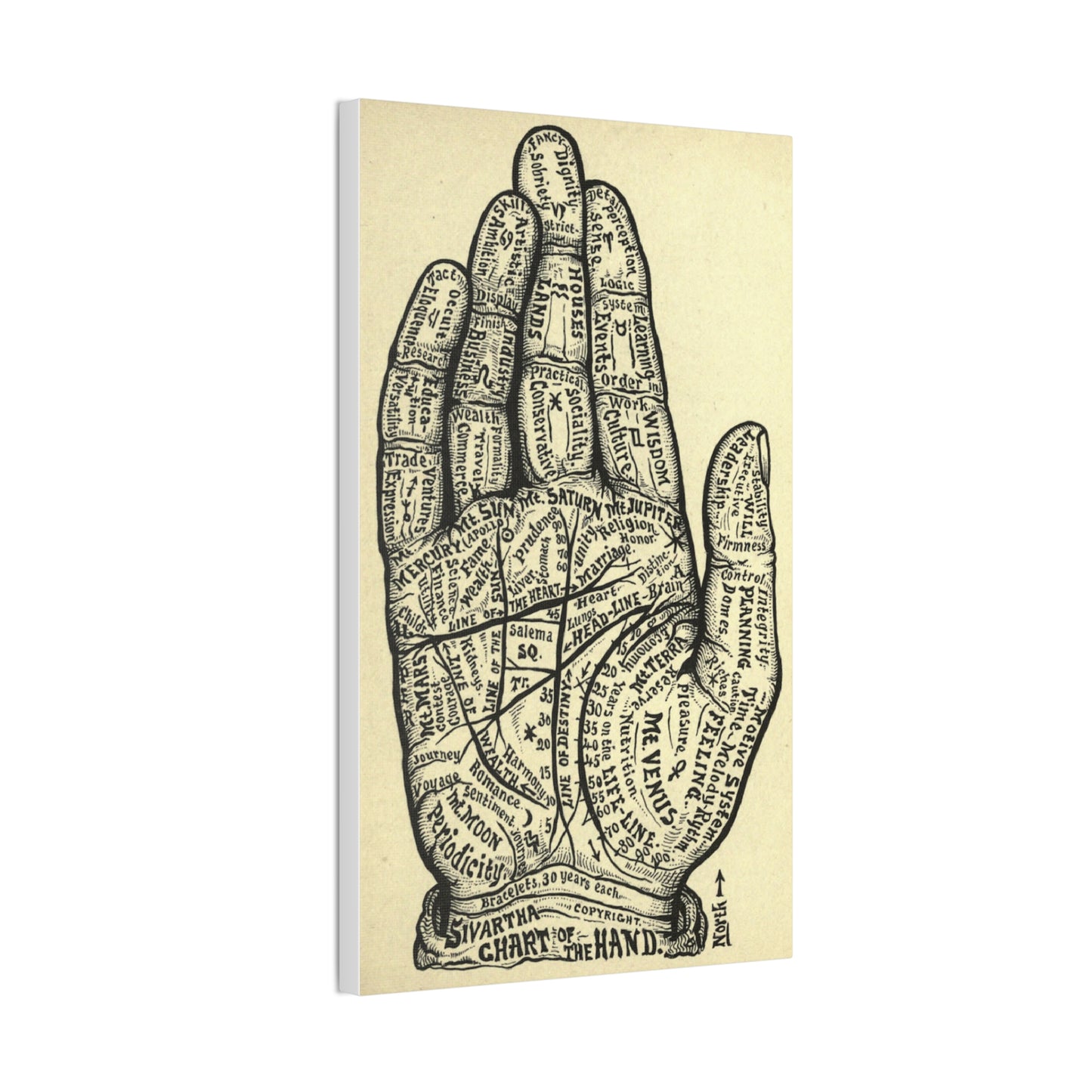 Mystical Hand Chart Canvas Art - Spiritual Home Decor