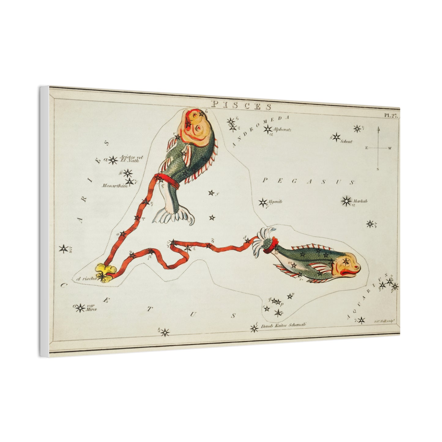 Astrology Canvas Print - Vintage Pisces Constellation Art