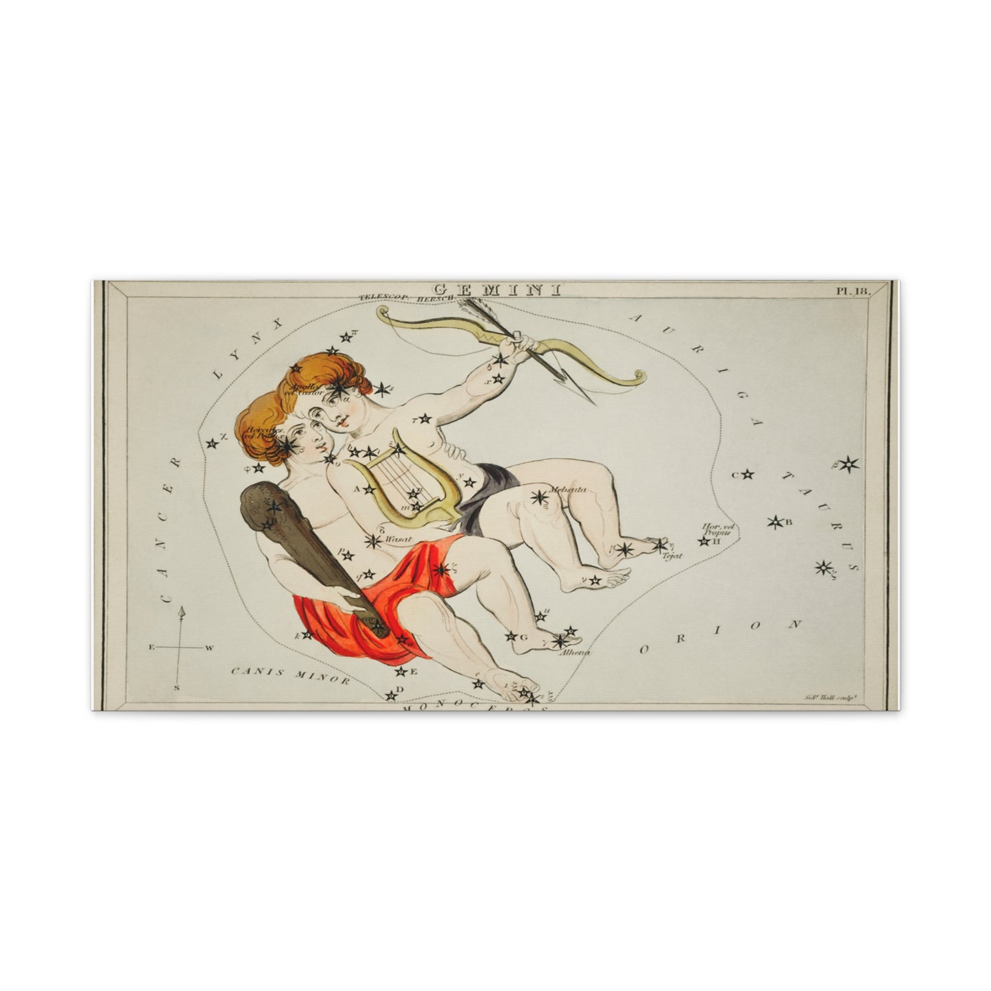 Gemini Constellation Canvas Wall Art