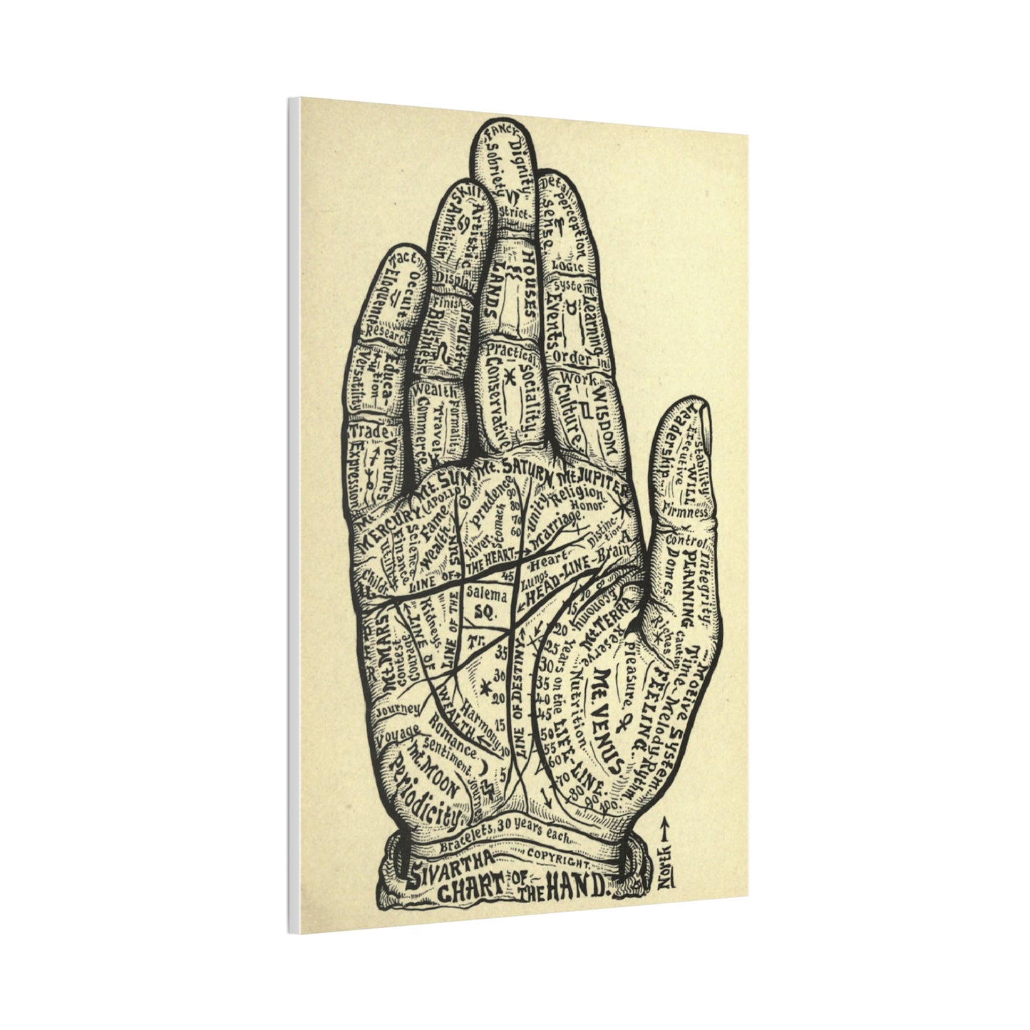 Mystical Hand Chart Canvas Art - Spiritual Home Decor