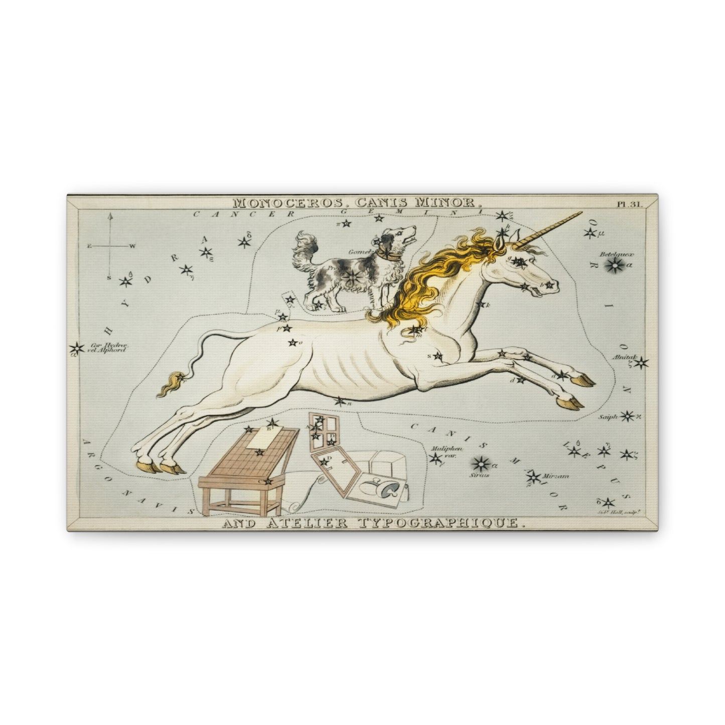 Canis minor Constellation Wall Art - Stretched Canvas Print
