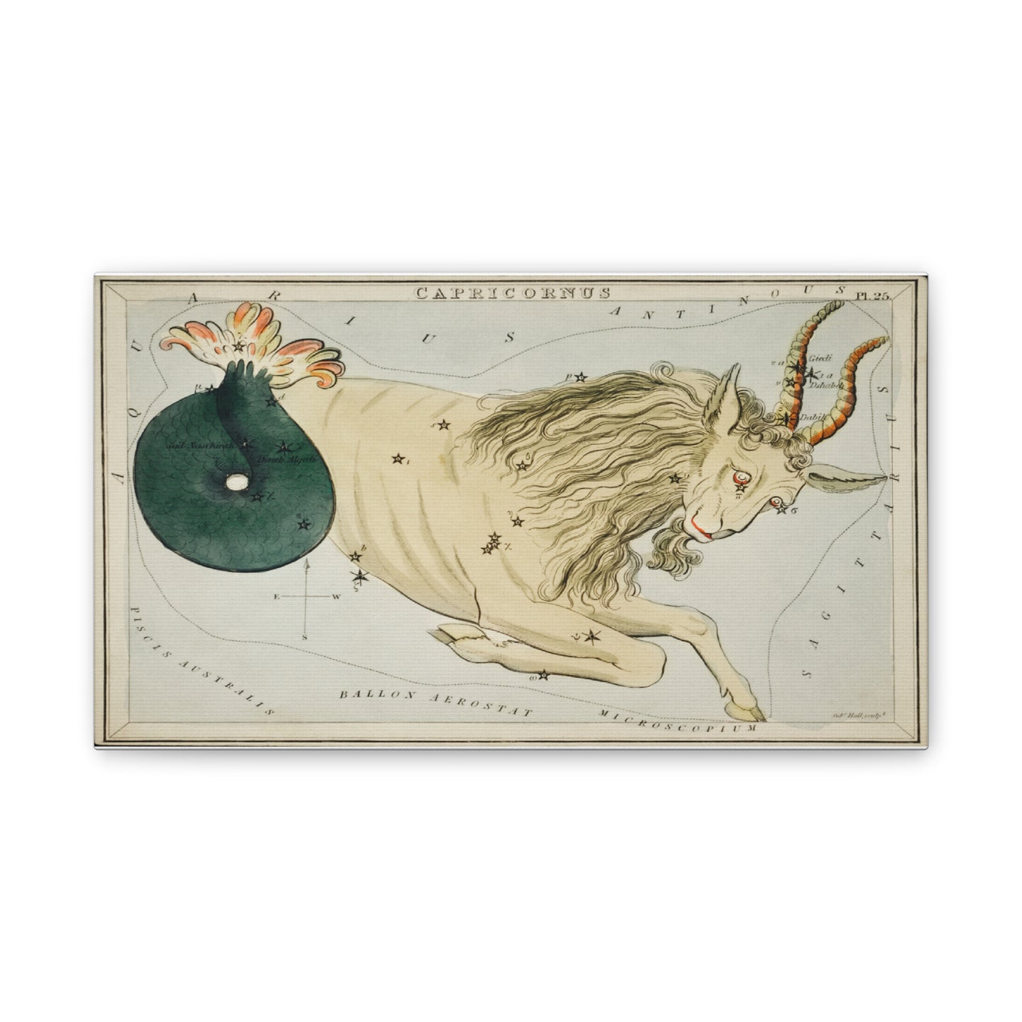 Capricorn Constellation Canvas Print - Zodiac Wall Art for Astrology Lovers