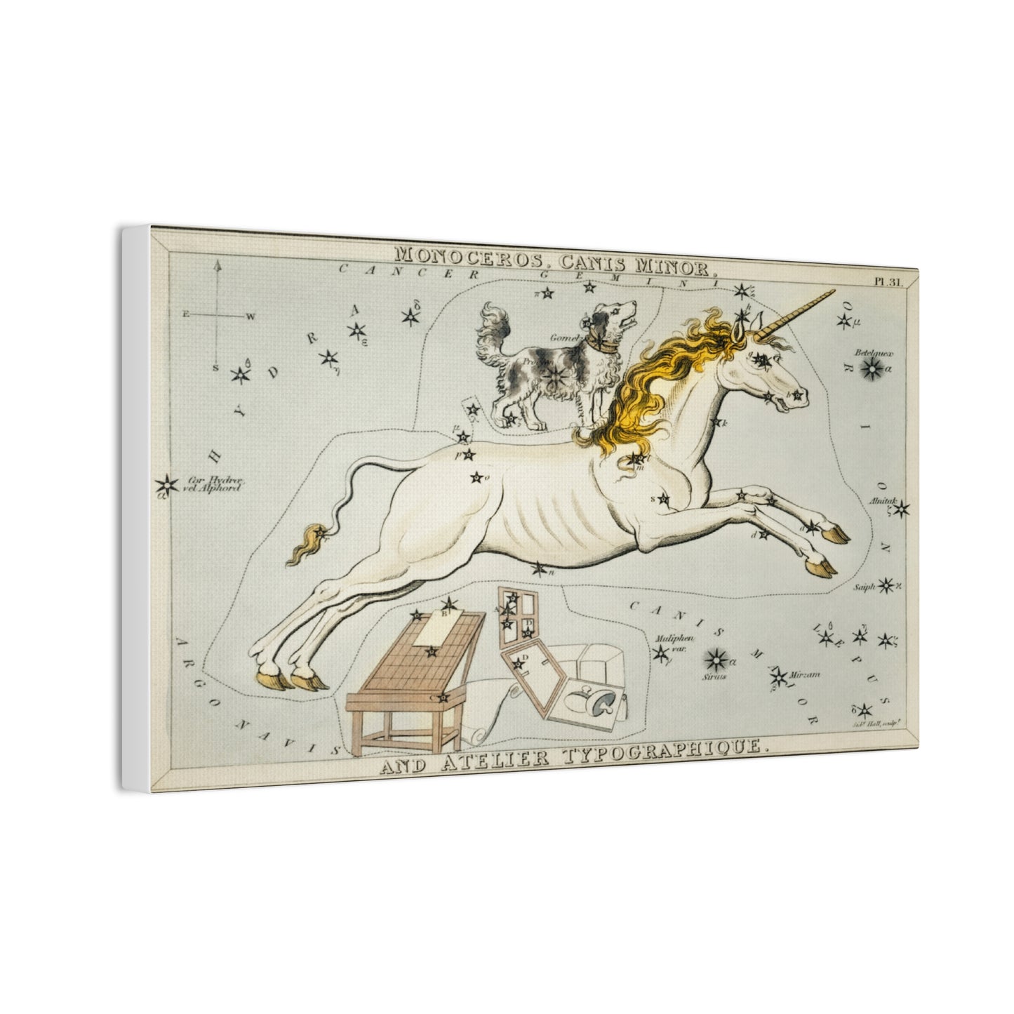 Canis minor Constellation Wall Art - Stretched Canvas Print