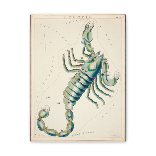 Scorpio canvas art