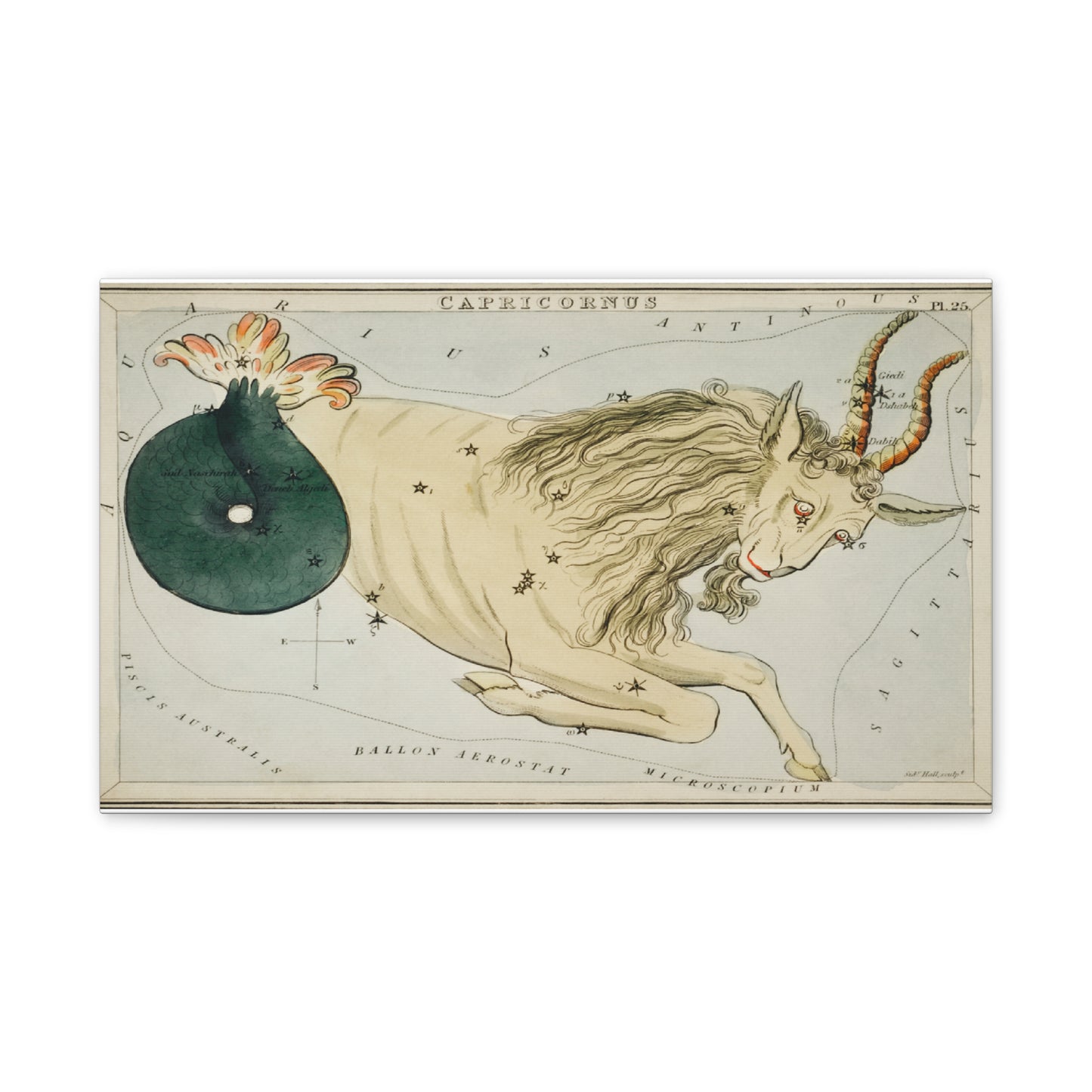 Capricorn Constellation Canvas Print - Zodiac Wall Art for Astrology Lovers