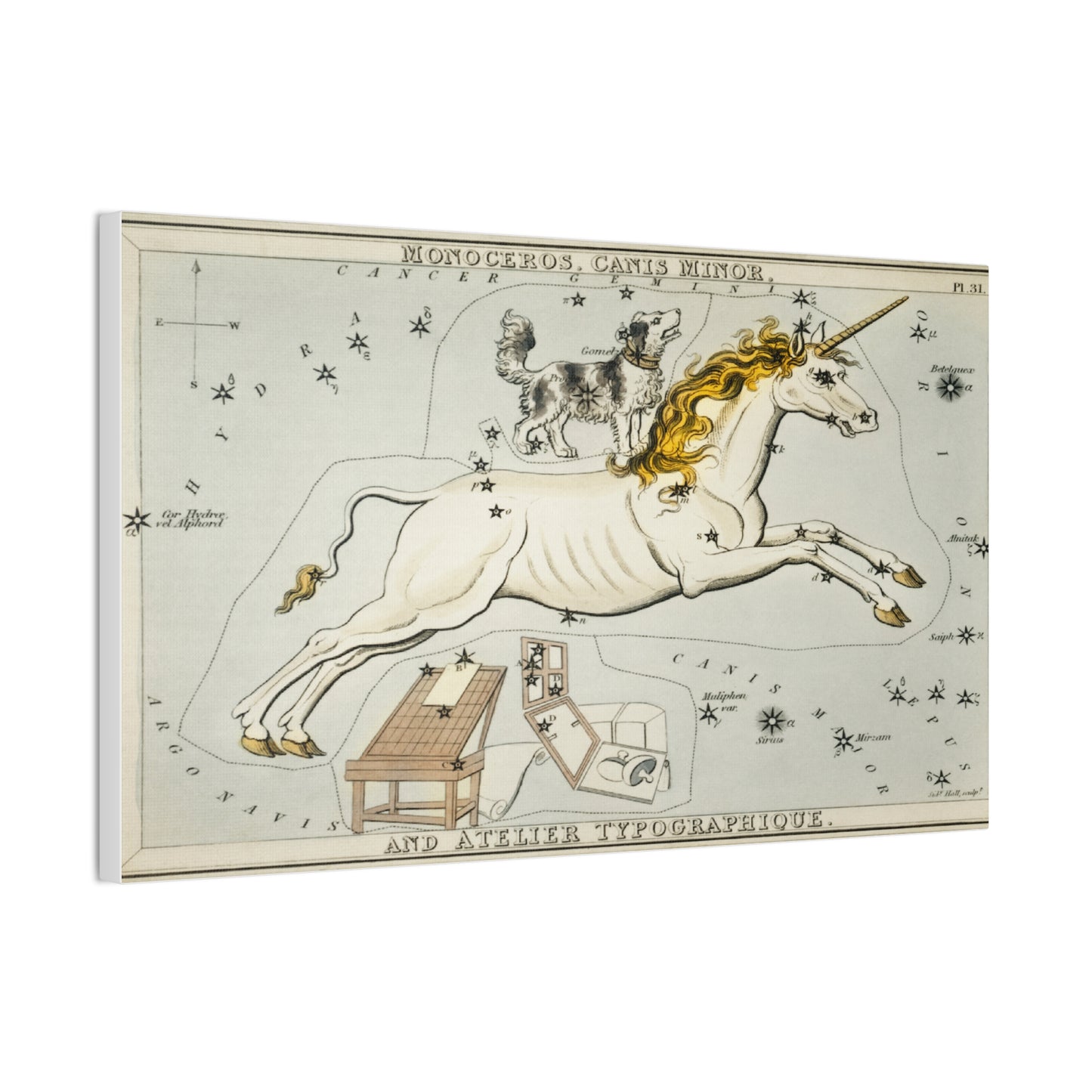 Canis minor Constellation Wall Art - Stretched Canvas Print
