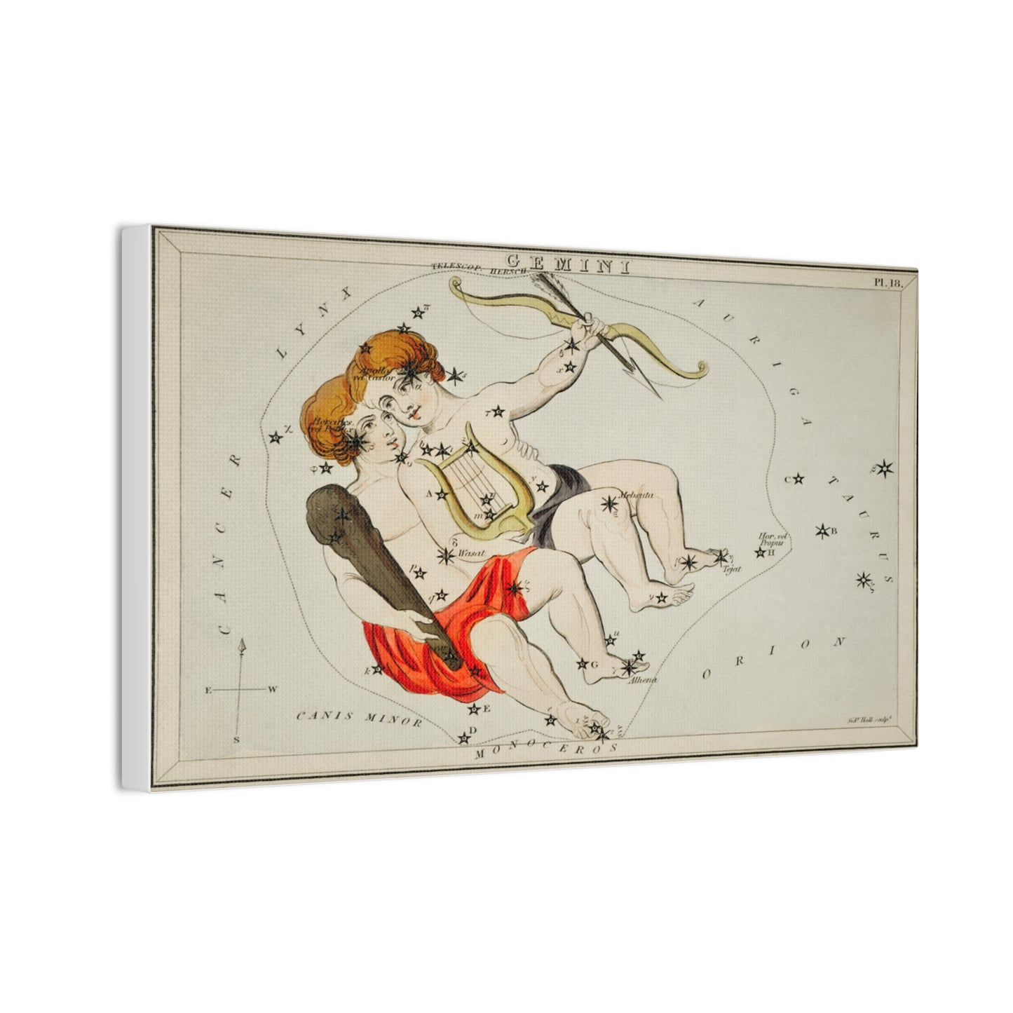 Gemini Constellation Canvas Wall Art