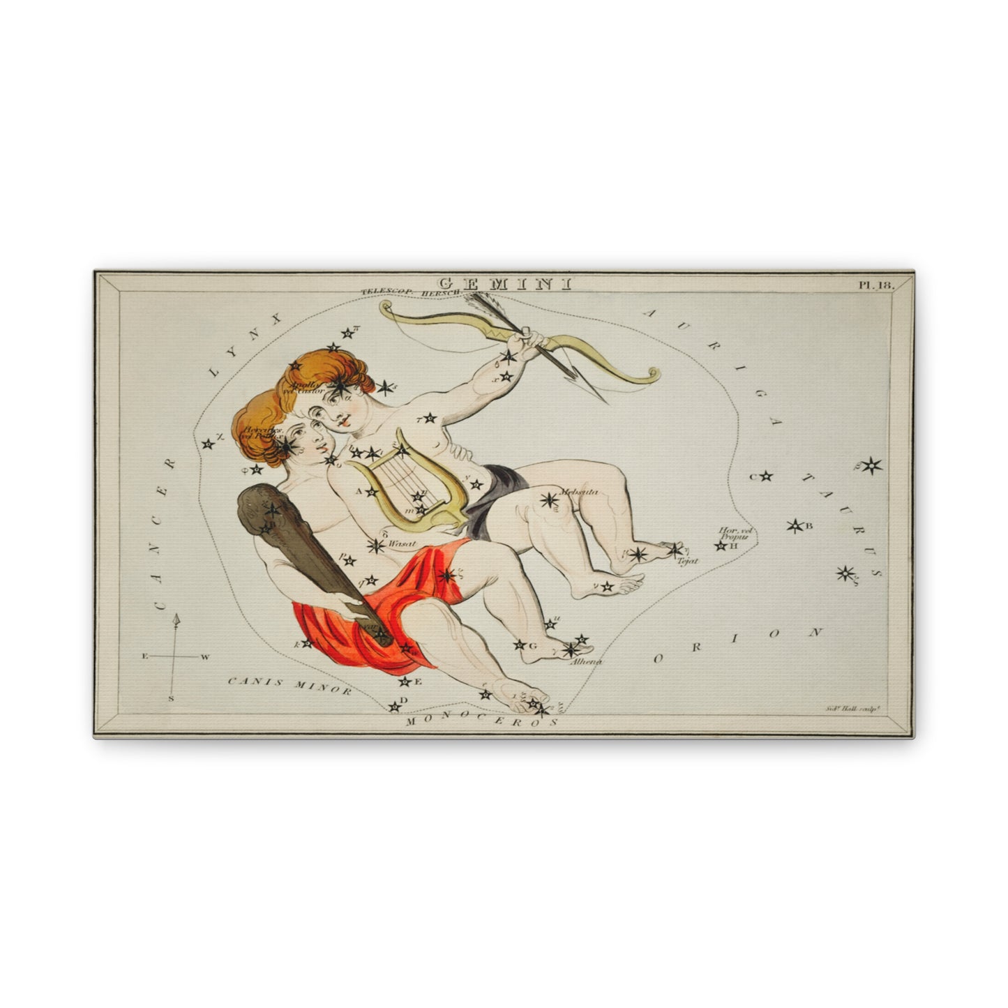 Gemini Constellation Canvas Wall Art